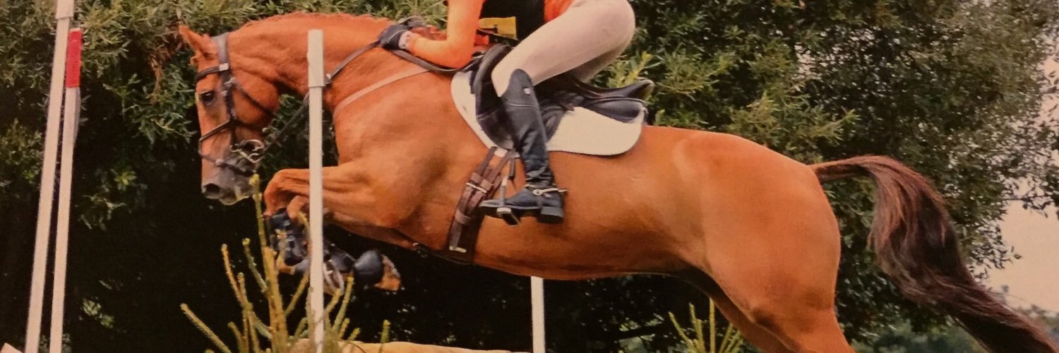 ArdernEventing's profile banner image