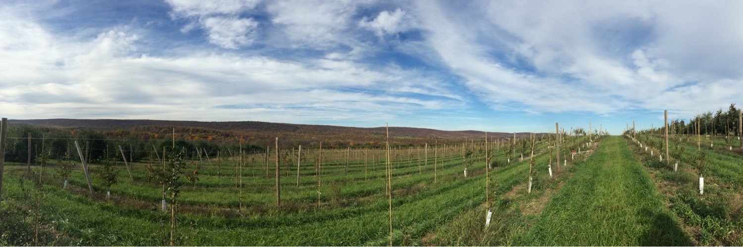 PloughmanCider's profile banner image