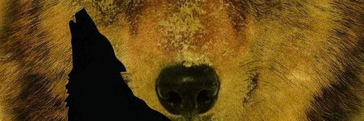 5da807dbbc874fd's profile banner image