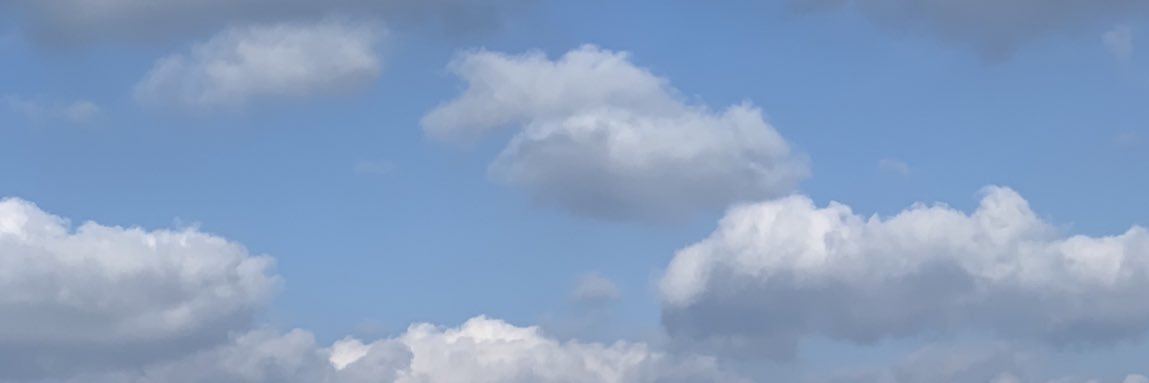 unta1130_s's profile banner image