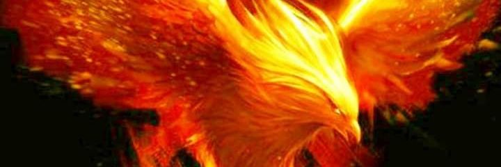 camus8410's profile banner image