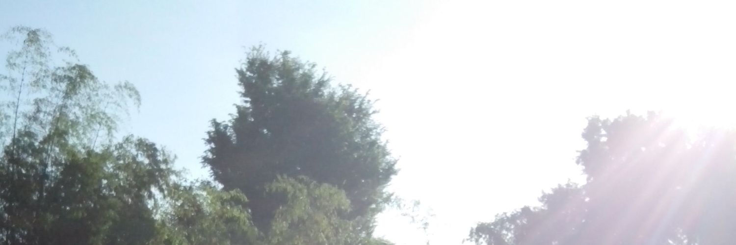 MsShoyu's profile banner image