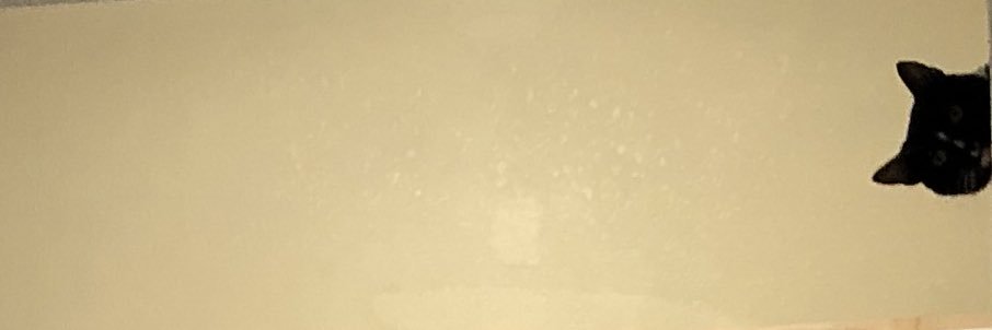 RTomTurner's profile banner image