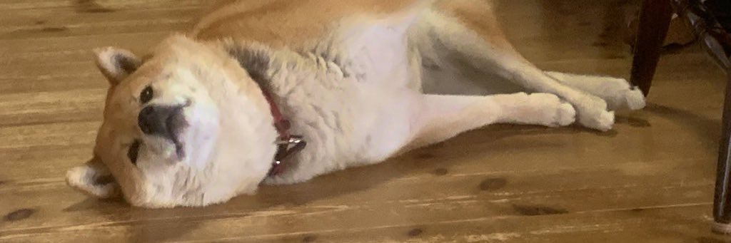 Tomoya Hagiwara banner