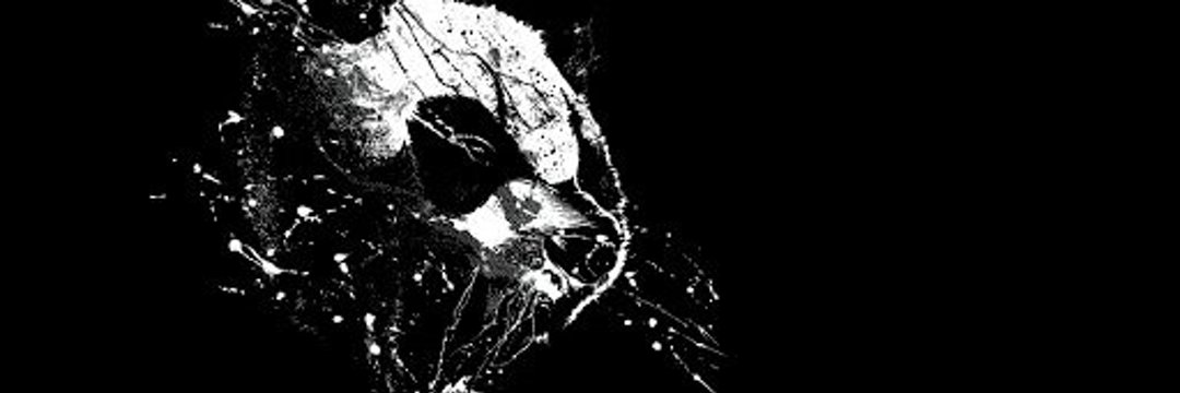 ICantFeels's profile banner image