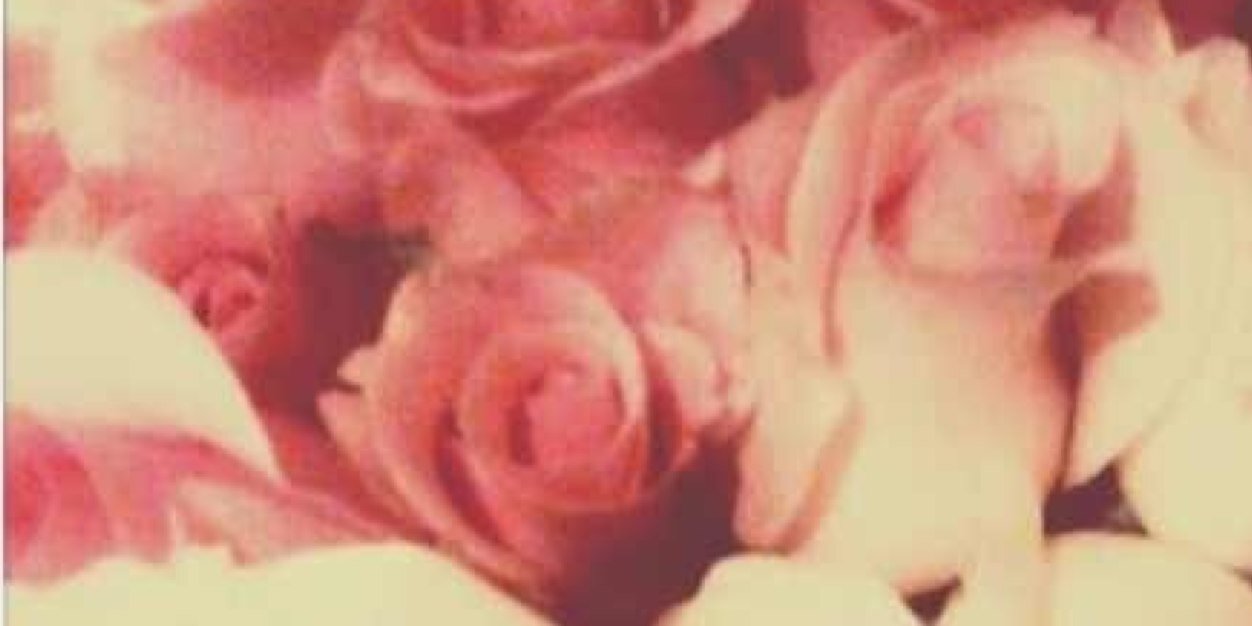 ljroseproject's profile banner image