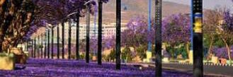 tariq254's profile banner image