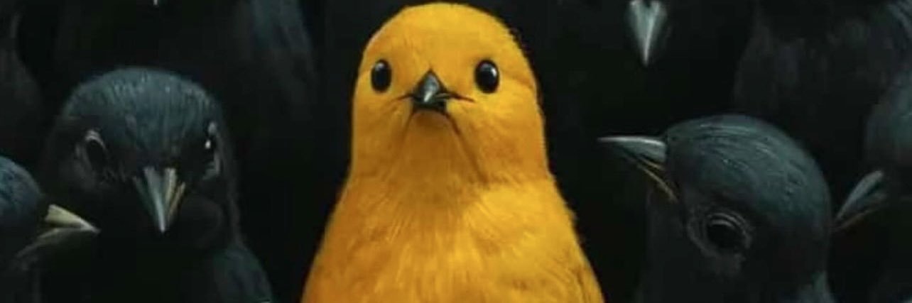 TINGLESPICEY's profile banner image