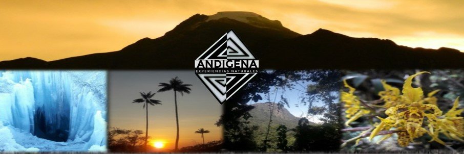 AAndigen's profile banner image