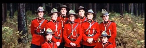 mrmccallum's profile banner image