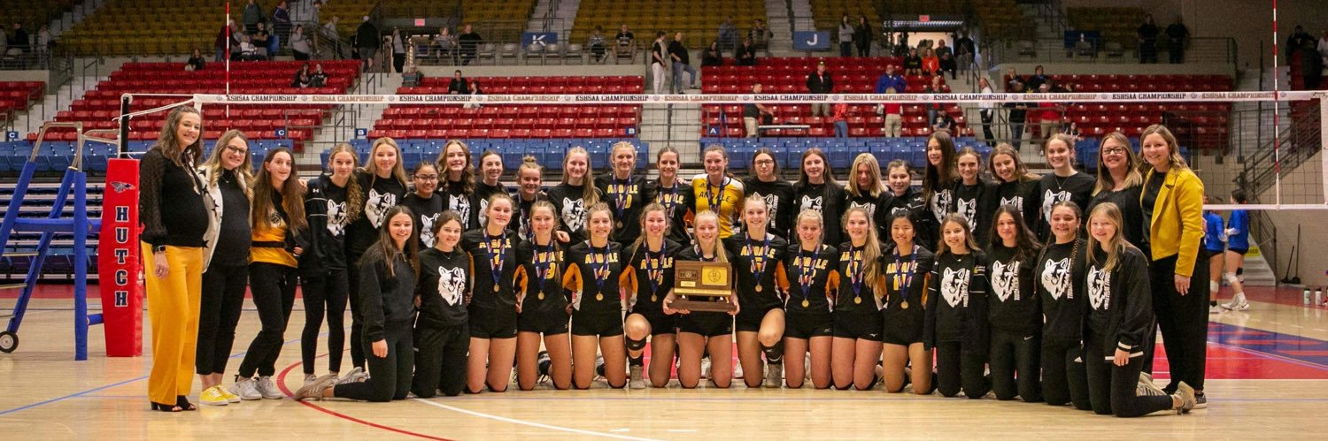 Andale Volleyball banner