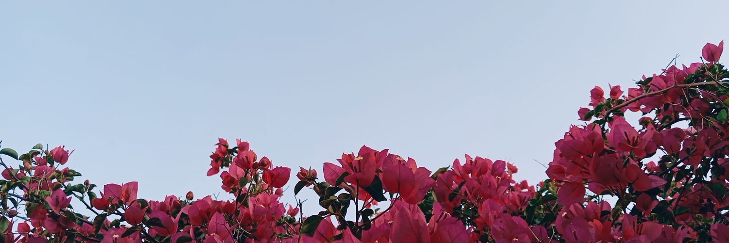 Nyrsethx's profile banner image