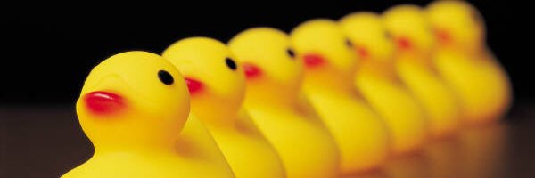TheyWant_TICE's profile banner image
