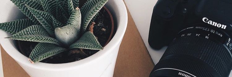 nikasfashion's profile banner image
