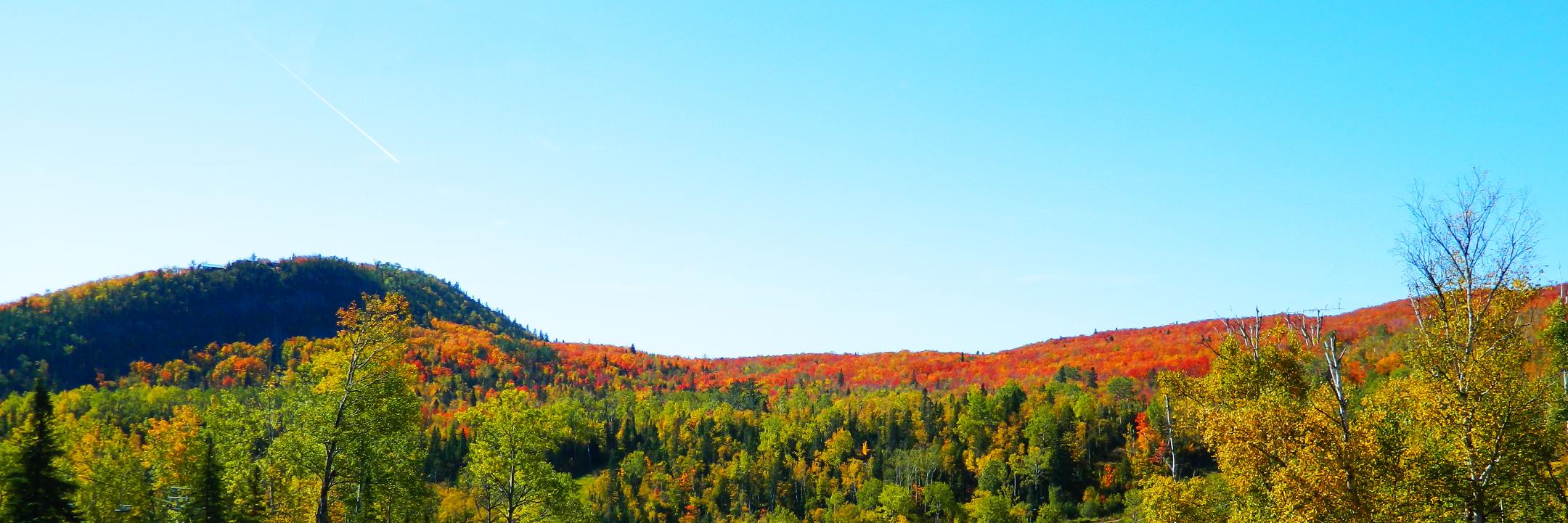 danieljappel's profile banner image