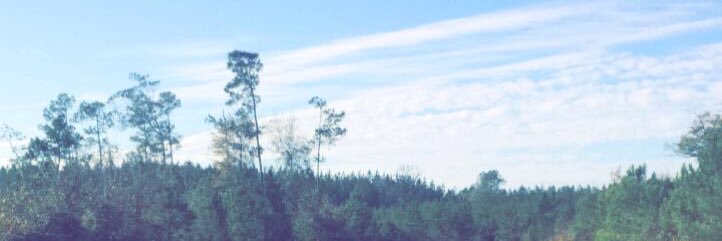 _blurrr's profile banner image