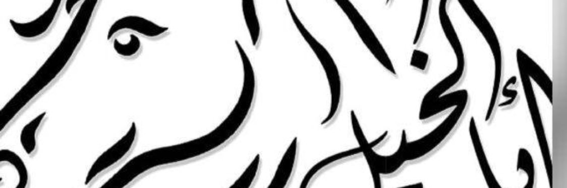 mmabaalkhail's profile banner image