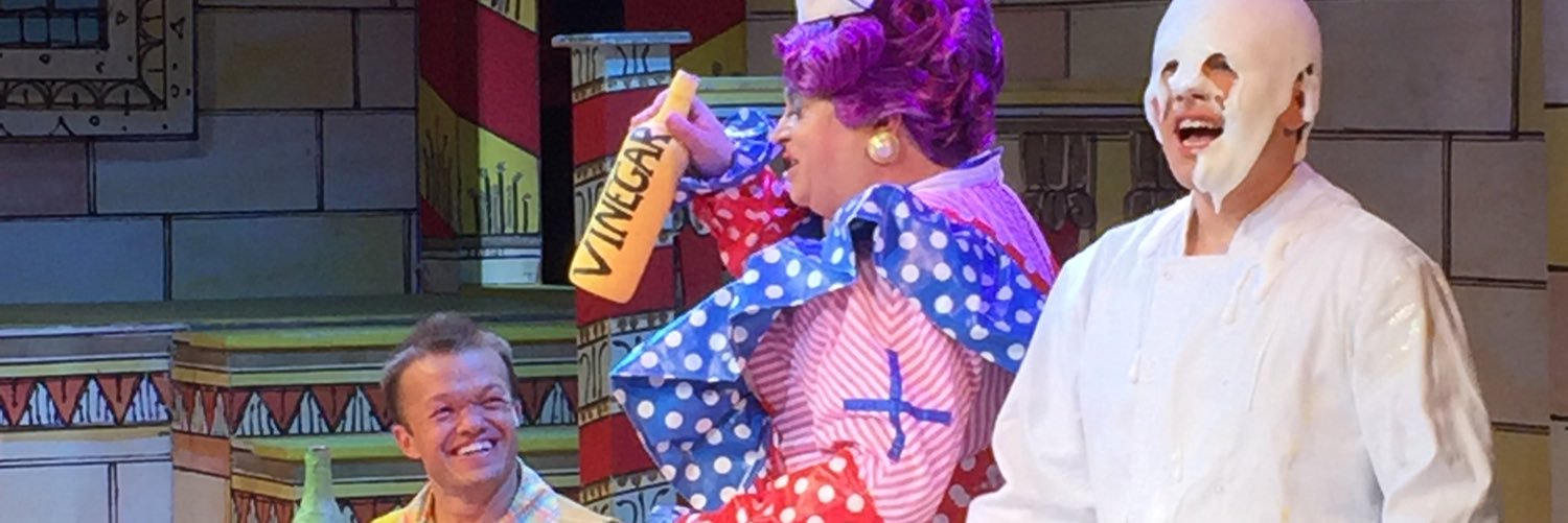 T S Pantomimes banner