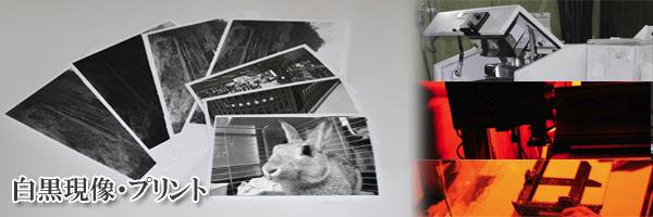 tomicolor's profile banner image