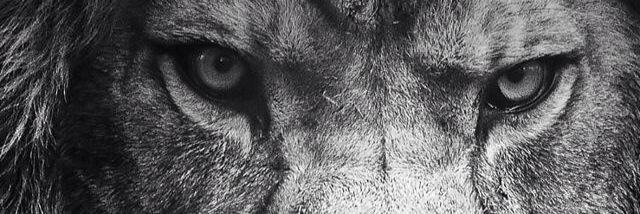 Coach__Edwards's profile banner image