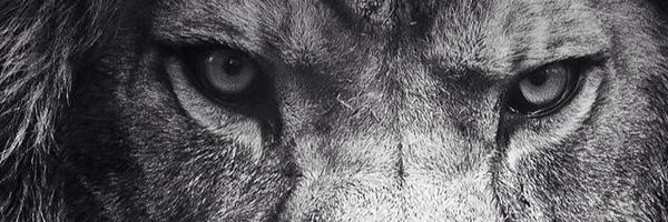 Coach__Edwards Profile Banner