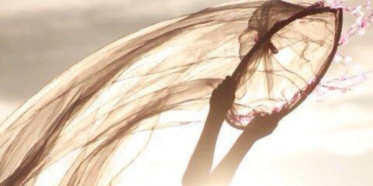 TerryColme's profile banner image