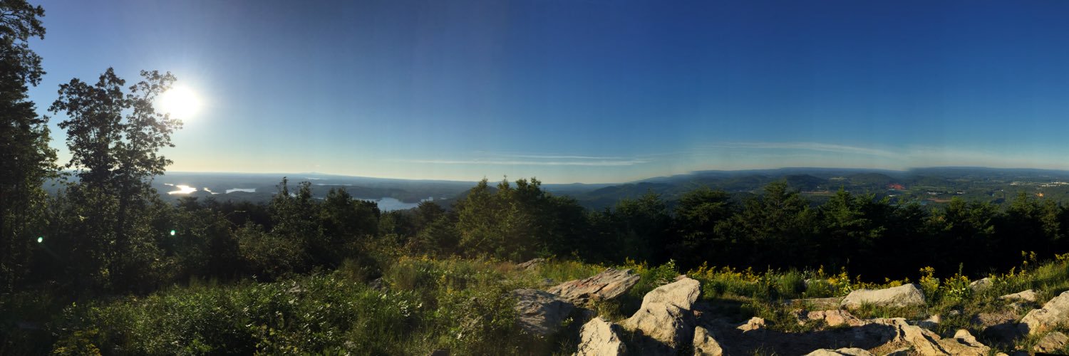 Tammie Taylor banner