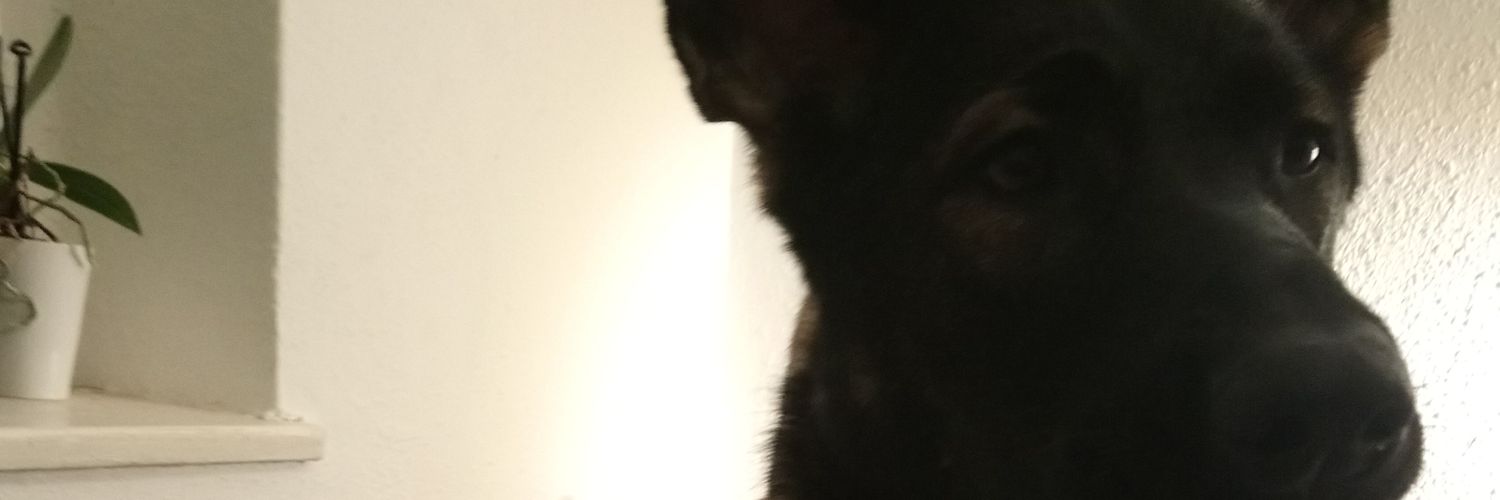 NikkiBrahms's profile banner image