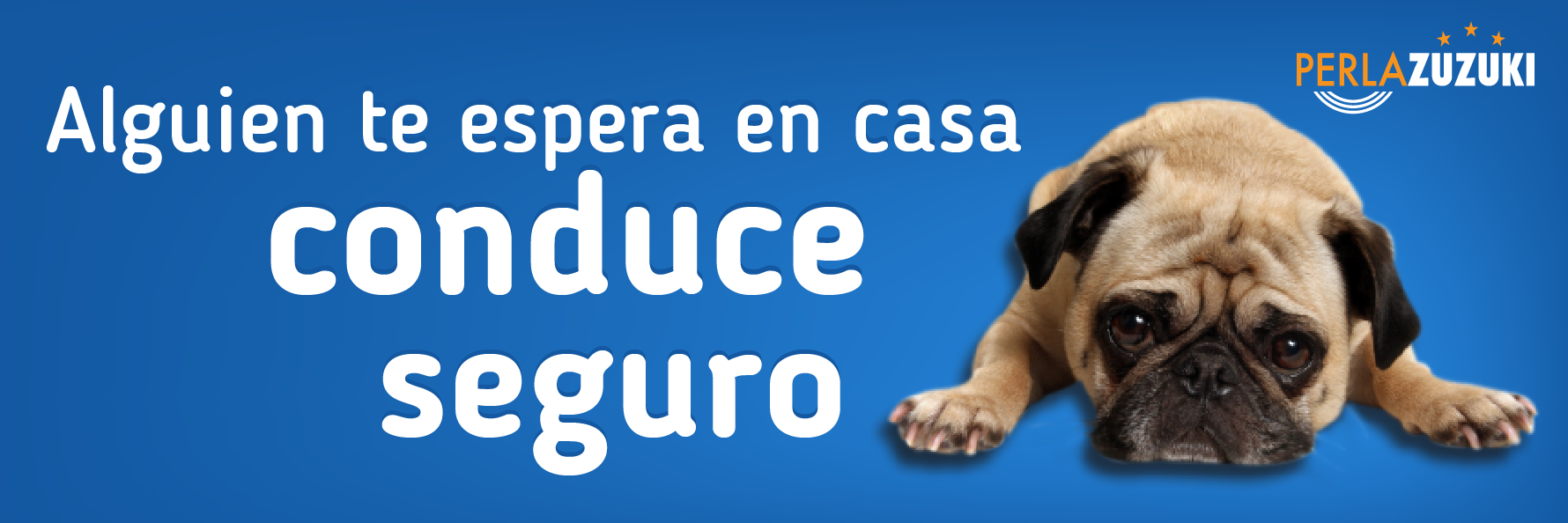 Perla Zuzuki Aguilar banner