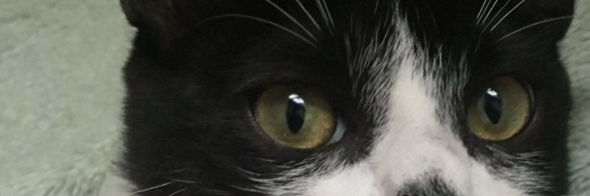 zd4v20's profile banner image
