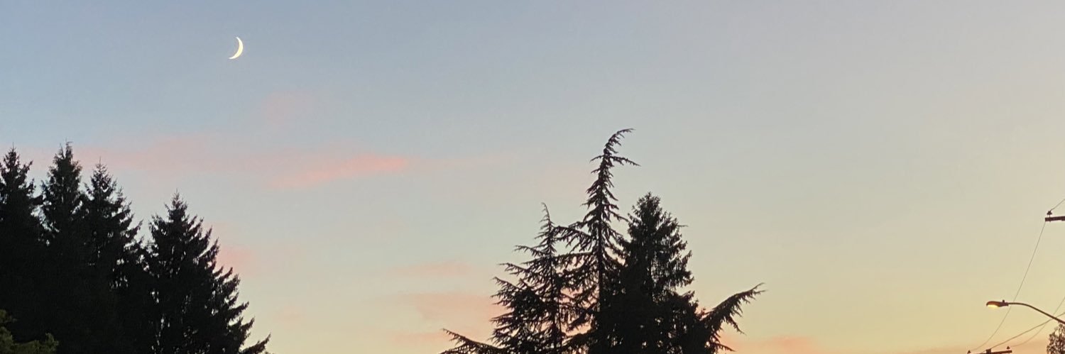 marthaforsyth's profile banner image