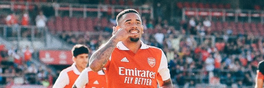 b. 🌹 banner