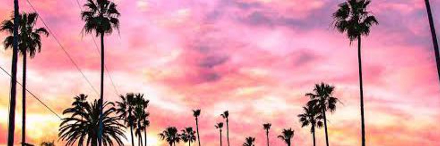 Celia Esquivel banner