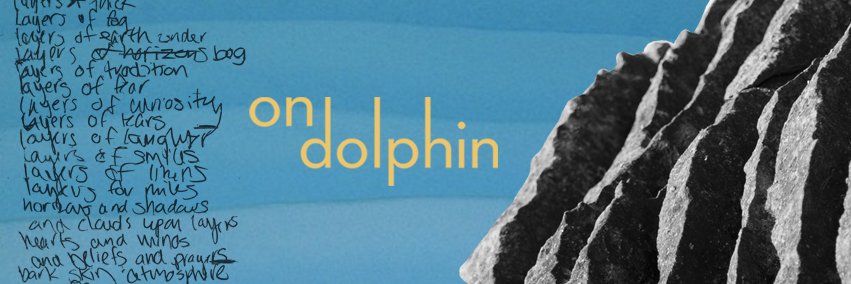 on_dolphin's profile banner image