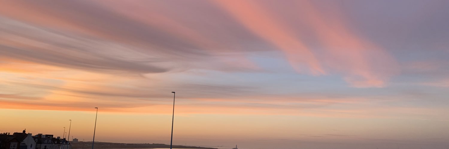 ProfPamDawson's profile banner image