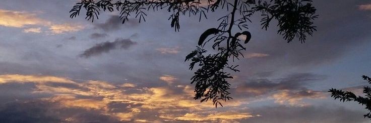 ded_mosby's profile banner image