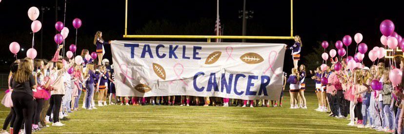 DCHS Hosa Club banner