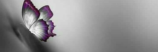 majic4040's profile banner image