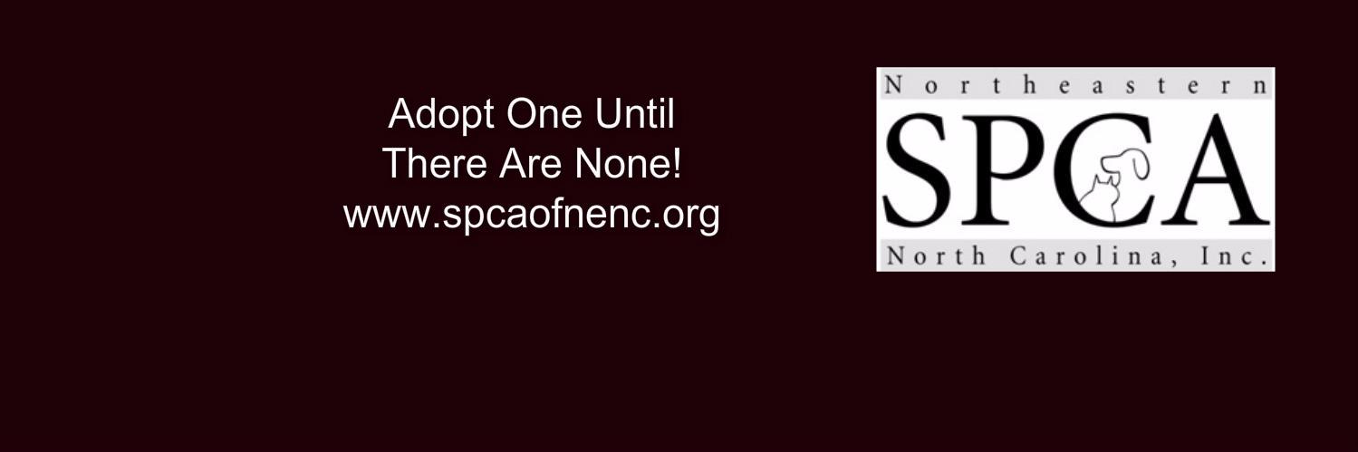 SPCAofNENC's profile banner image