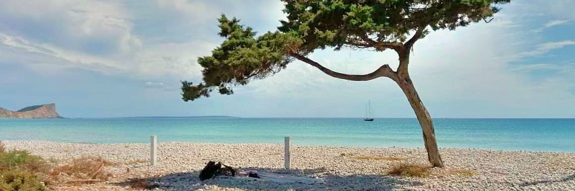 ibiza2love's profile banner image