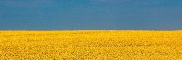 YankeeMegs Profile Banner