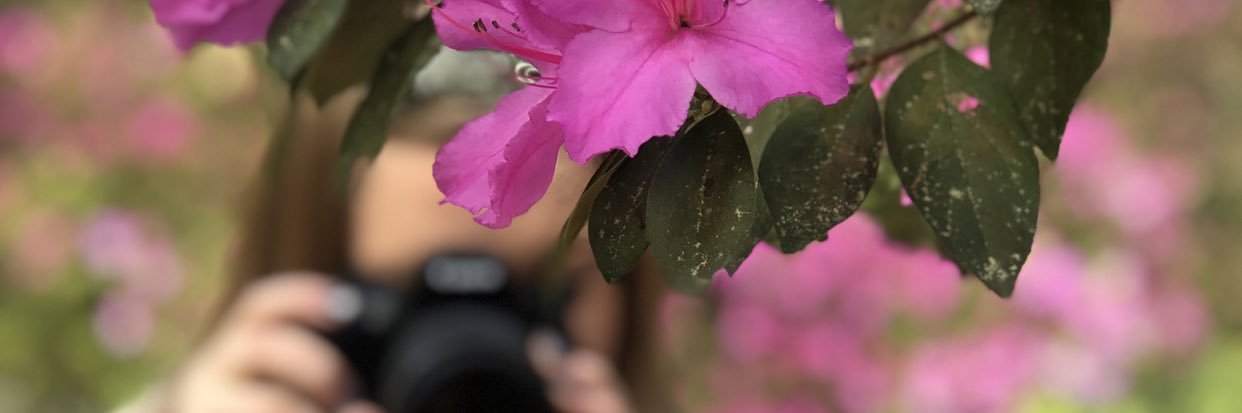 JennaCline96's profile banner image
