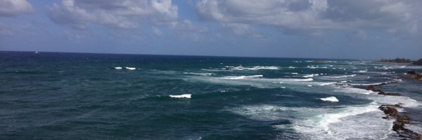 roxygal100 Profile Banner