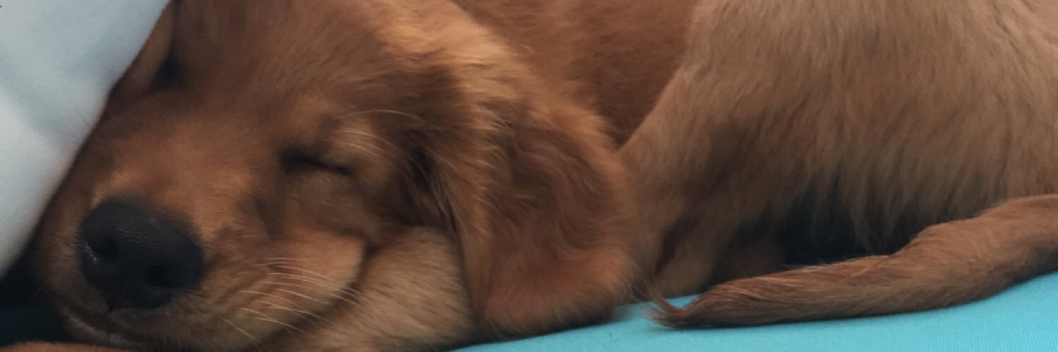macy_mccormick's profile banner image