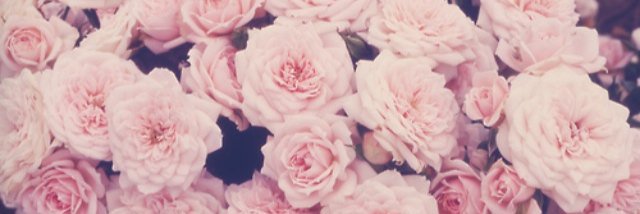 KileyKileyg2's profile banner image