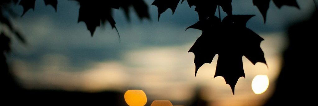 AniFreire's profile banner image