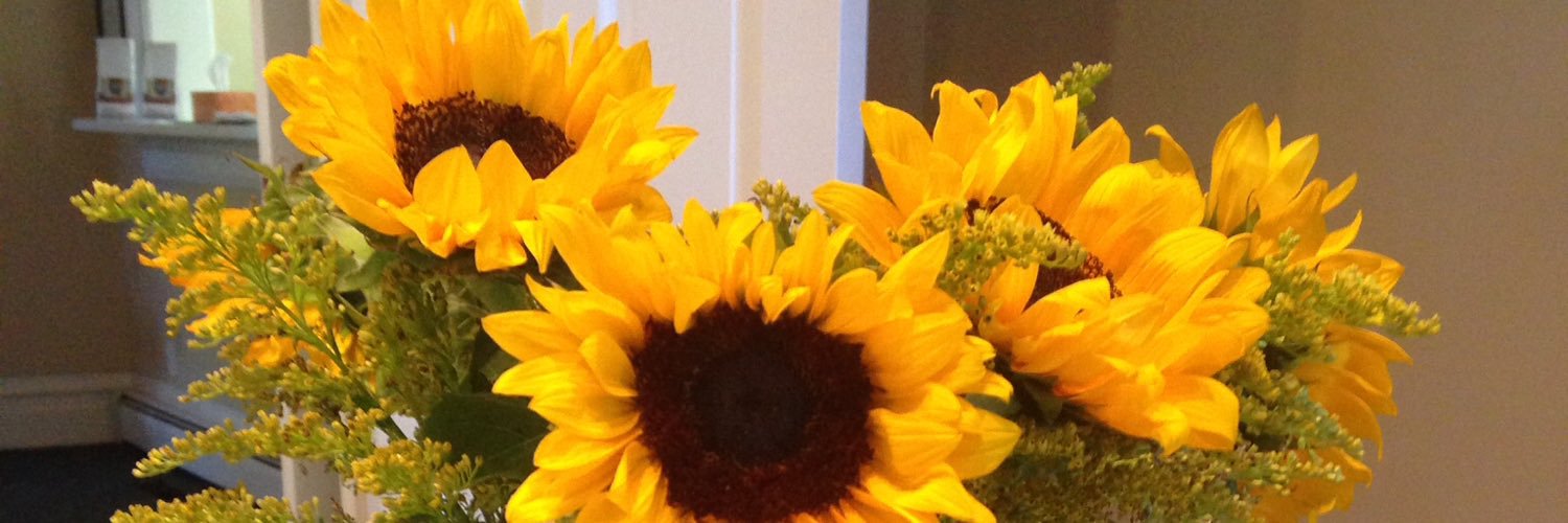 sarahcbrinkmann's profile banner image