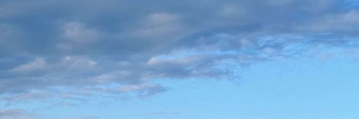 Liz Bissonette banner