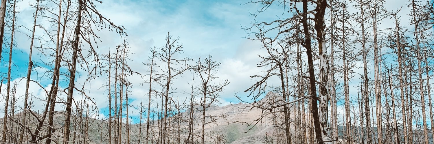 kelley_bee's profile banner image