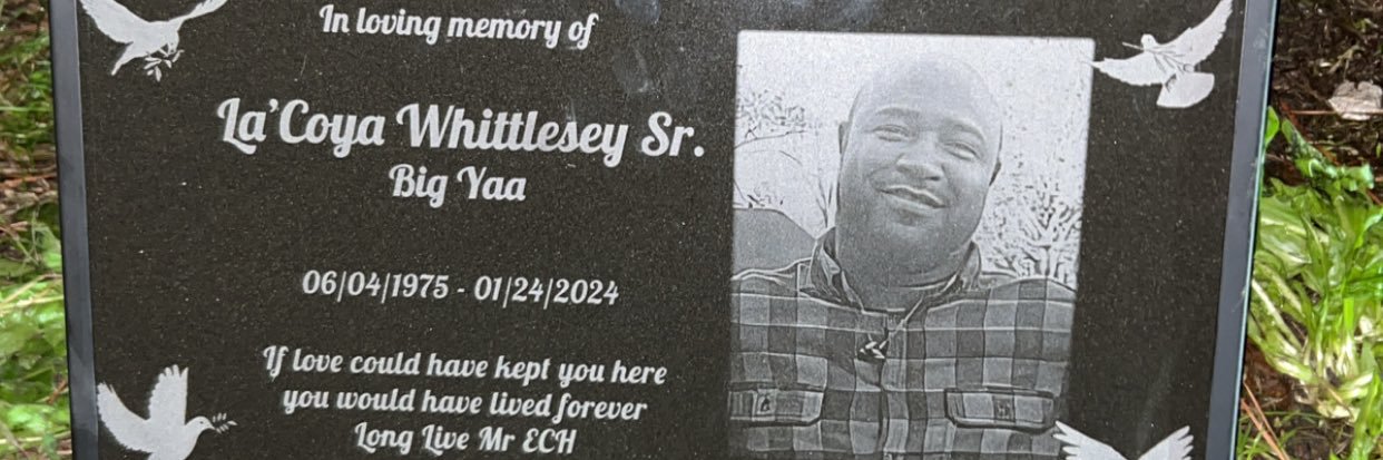 ™ Brixoxo 😘🌸 banner